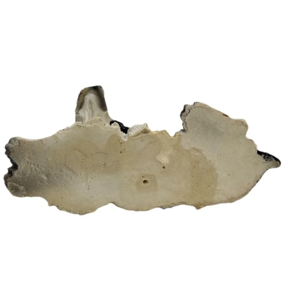 Black And White Cocker Spaniel Pup Figurine